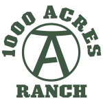 green-no-backrground-logo