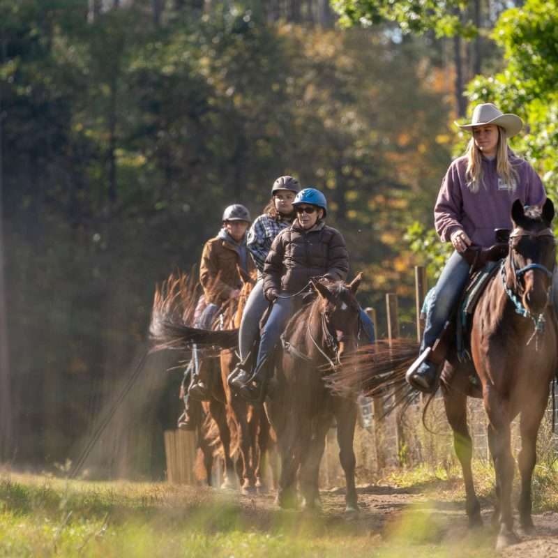 1000-acres-ext-36