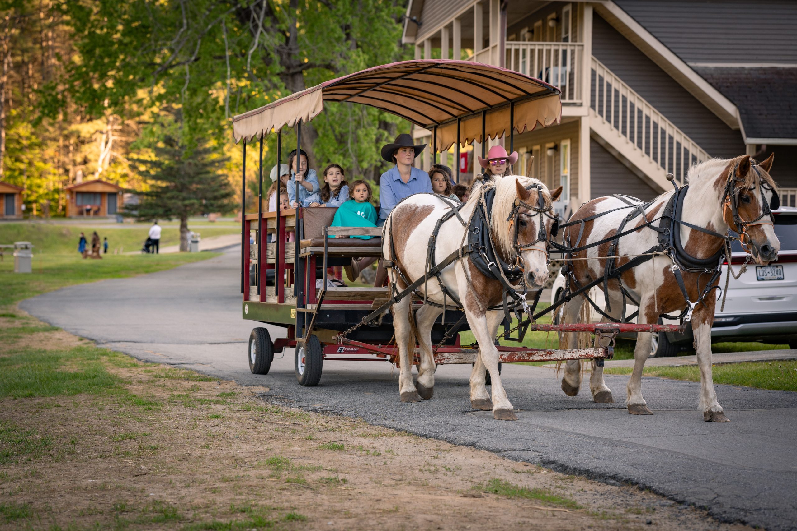 Wagon Rides At 1000 Acres