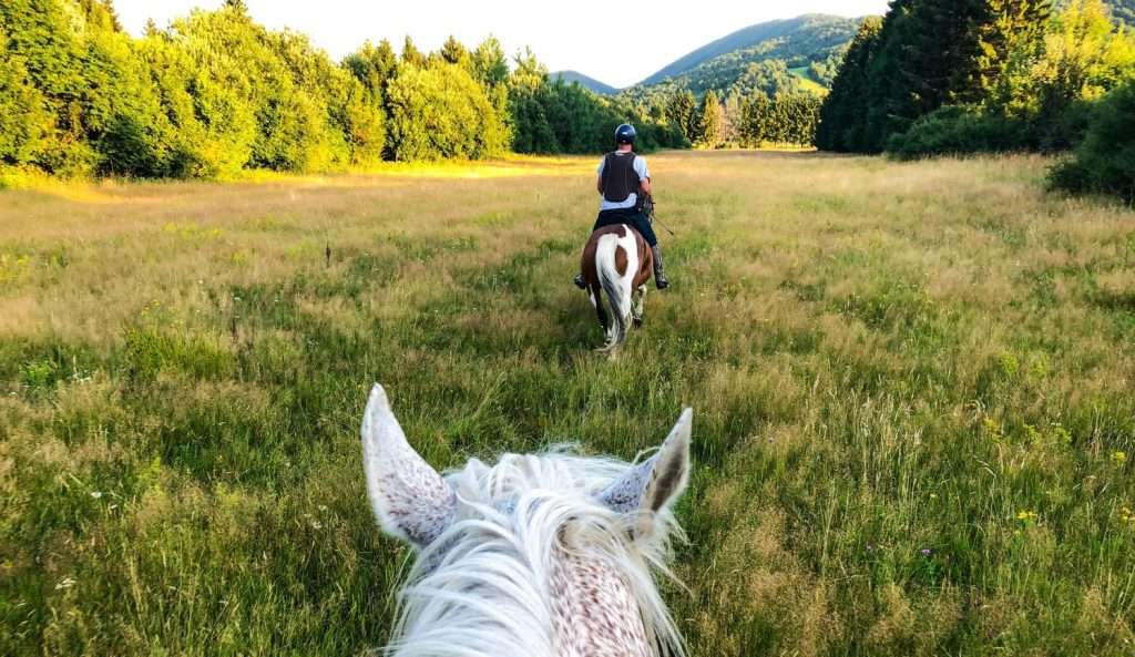 Horseback Riding At 1000 Acres Resort Near Lake George